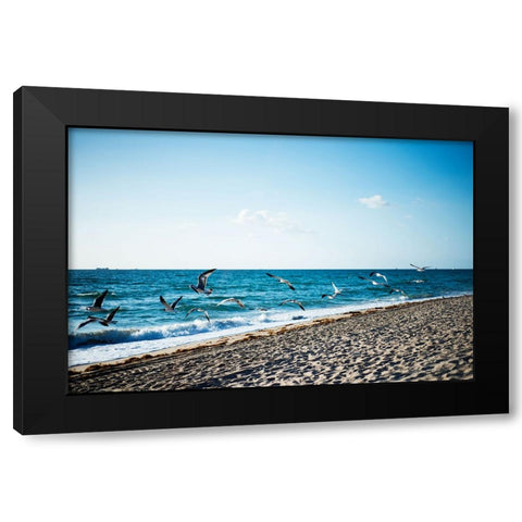 Seagulls Black Modern Wood Framed Art Print by Malone, Will