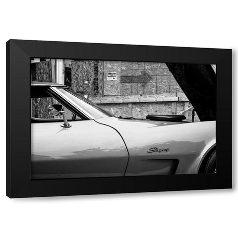 Stingray BW Black Modern Wood Framed Art Print by Malone, Will