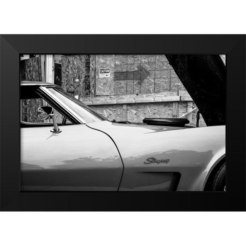 Stingray BW Black Modern Wood Framed Art Print by Malone, Will