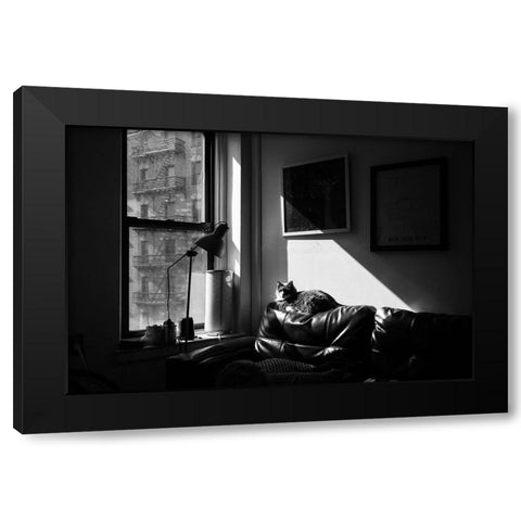 City Cat Black Modern Wood Framed Art Print with Double Matting by Malone, Will