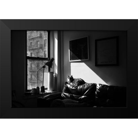 City Cat Black Modern Wood Framed Art Print by Malone, Will