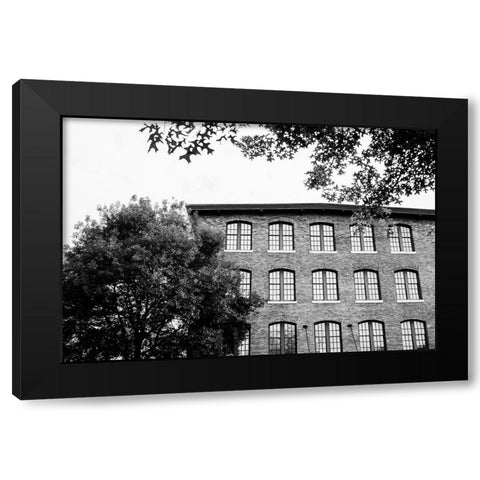 Sunny Windows BW  Black Modern Wood Framed Art Print by Malone, Will