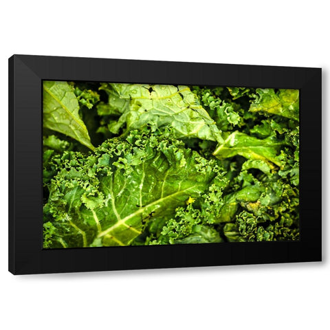 Kale Up Close Black Modern Wood Framed Art Print by Malone, Will