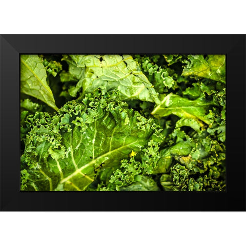 Kale Up Close Black Modern Wood Framed Art Print by Malone, Will
