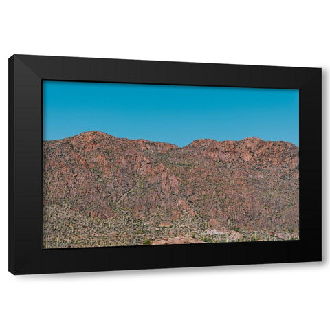 Cactus Mountain 1 Black Modern Wood Framed Art Print with Double Matting by Malone, Will