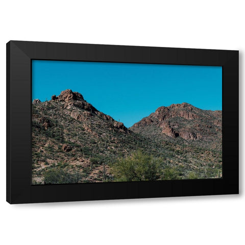 Cactus Mountain 2 Black Modern Wood Framed Art Print by Malone, Will