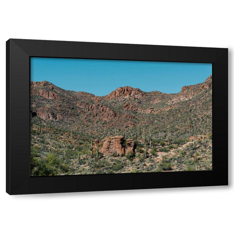Cactus Mountain 4 Black Modern Wood Framed Art Print with Double Matting by Malone, Will
