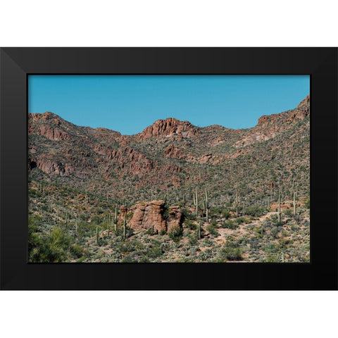 Cactus Mountain 4 Black Modern Wood Framed Art Print by Malone, Will