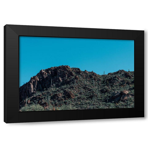 Cactus Mountain 5 Black Modern Wood Framed Art Print by Malone, Will