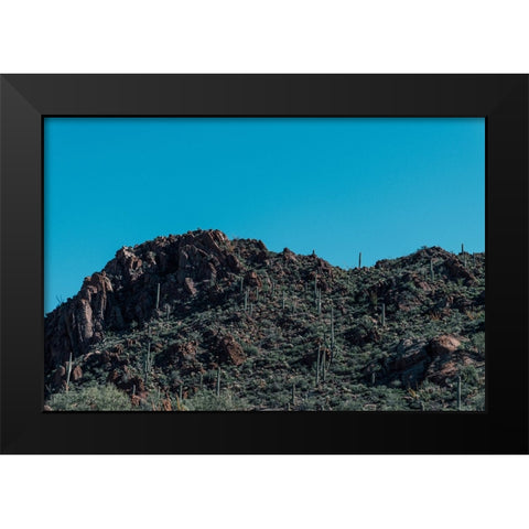 Cactus Mountain 5 Black Modern Wood Framed Art Print by Malone, Will