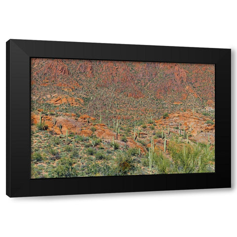 Cactus Mountain 6 Black Modern Wood Framed Art Print with Double Matting by Malone, Will