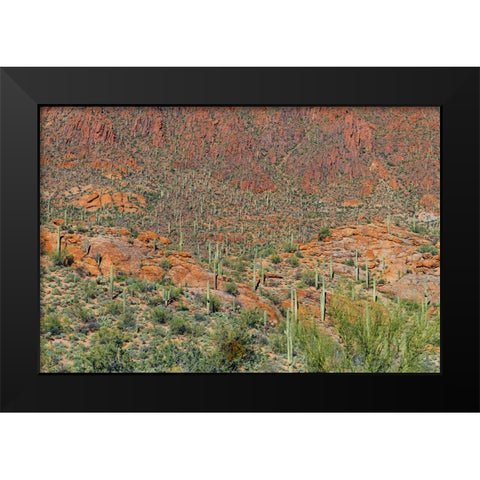 Cactus Mountain 6 Black Modern Wood Framed Art Print by Malone, Will