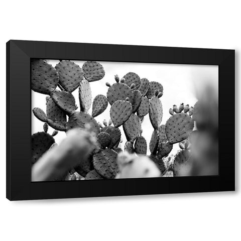Carolina Cactus Black Modern Wood Framed Art Print by Malone, Will