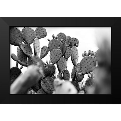Carolina Cactus Black Modern Wood Framed Art Print by Malone, Will