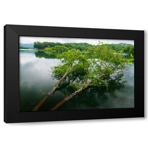 Fallen Black Modern Wood Framed Art Print with Double Matting by Malone, Will