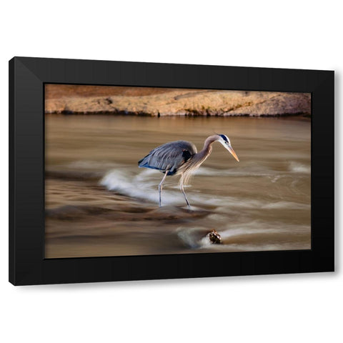 The Bird Black Modern Wood Framed Art Print with Double Matting by Malone, Will