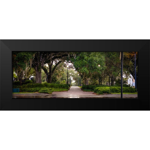 Chain of Parks Rain Black Modern Wood Framed Art Print by Malone, Will