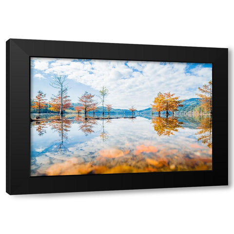 Fall Lake Black Modern Wood Framed Art Print with Double Matting by Malone, Will