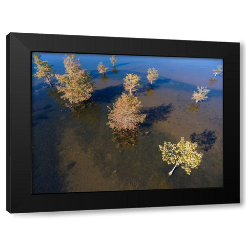 Fall Lake 2 Black Modern Wood Framed Art Print by Malone, Will