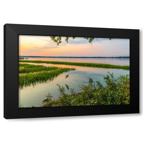 Morning Marsh Black Modern Wood Framed Art Print by Malone, Will