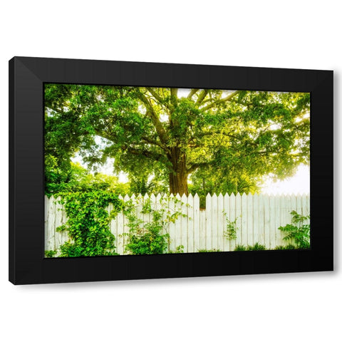White Pickett Fence Black Modern Wood Framed Art Print with Double Matting by Malone, Will