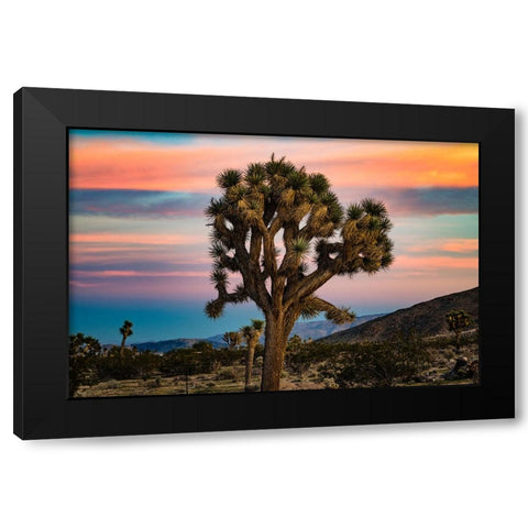 Cotton Candy Tree Black Modern Wood Framed Art Print by Malone, Will