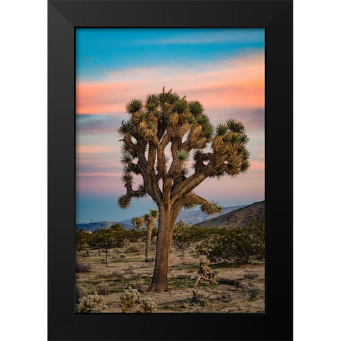 Cotton Candy Tree 2 Black Modern Wood Framed Art Print by Malone, Will