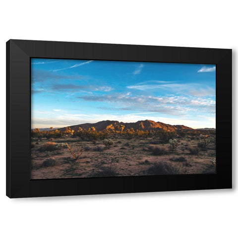 Desert Sky Black Modern Wood Framed Art Print by Malone, Will