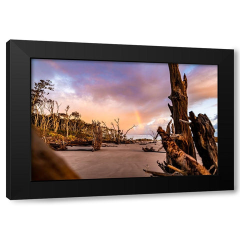 Amelia 1 Black Modern Wood Framed Art Print by Malone, Will