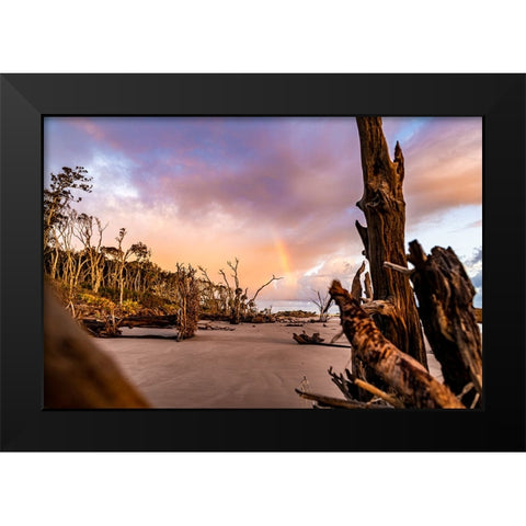 Amelia 1 Black Modern Wood Framed Art Print by Malone, Will