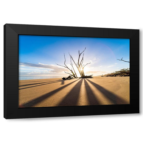 Shadow Black Modern Wood Framed Art Print with Double Matting by Malone, Will