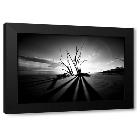 Shadow BW Black Modern Wood Framed Art Print with Double Matting by Malone, Will