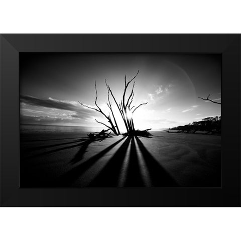 Shadow BW Black Modern Wood Framed Art Print by Malone, Will
