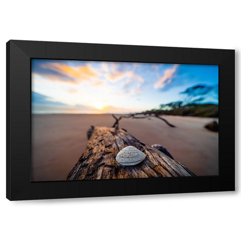 She Sells Seashells Black Modern Wood Framed Art Print with Double Matting by Malone, Will