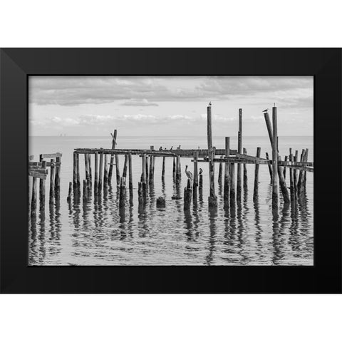 Jungle Gym Black Modern Wood Framed Art Print by Malone, Will