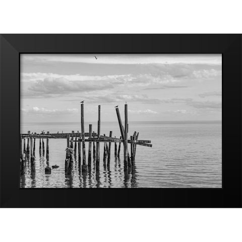 Jungle Gym 2 Black Modern Wood Framed Art Print by Malone, Will