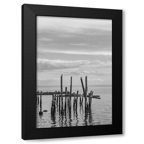 Jungle Gym Vertical Black Modern Wood Framed Art Print with Double Matting by Malone, Will