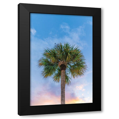 DeLand Sunset Black Modern Wood Framed Art Print by Malone, Will
