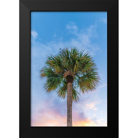 DeLand Sunset Black Modern Wood Framed Art Print by Malone, Will