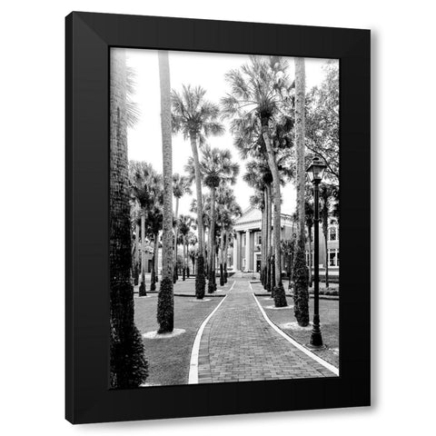 Morning Palms Black Modern Wood Framed Art Print with Double Matting by Malone, Will