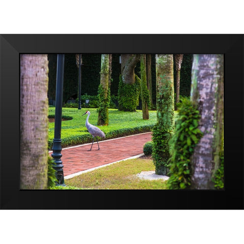 Bird About Town Black Modern Wood Framed Art Print by Malone, Will
