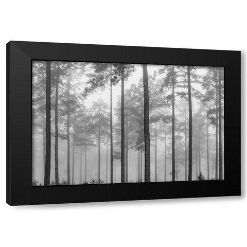 Fog Black Modern Wood Framed Art Print by Malone, Will