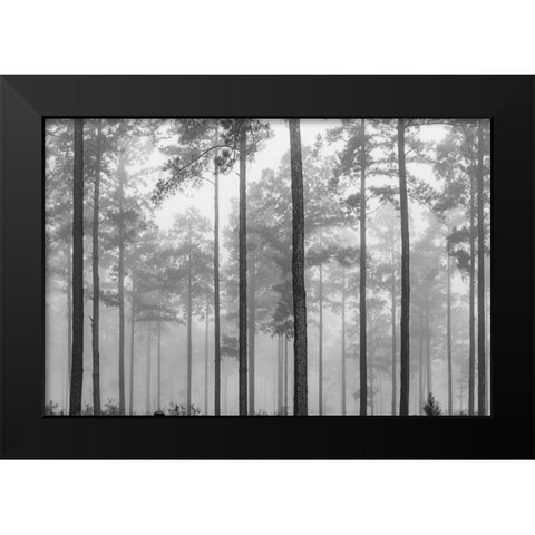 Fog Black Modern Wood Framed Art Print by Malone, Will