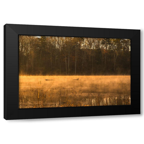 Tired Creek Golden Mist Black Modern Wood Framed Art Print with Double Matting by Malone, Will