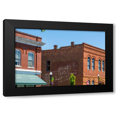 Spearmint Black Modern Wood Framed Art Print by Malone, Will