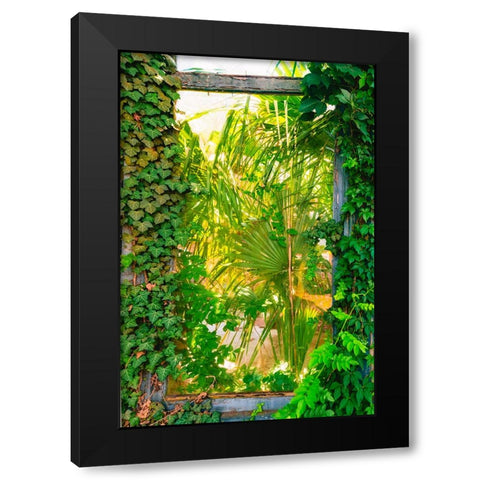 The Window Black Modern Wood Framed Art Print by Malone, Will