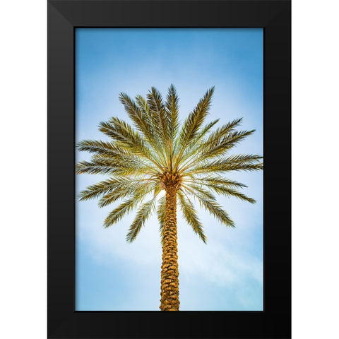 Glowing Palms Black Modern Wood Framed Art Print by Malone, Will
