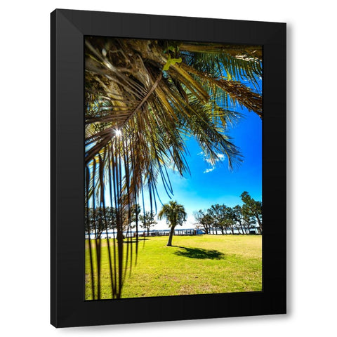 Palm Park Black Modern Wood Framed Art Print with Double Matting by Malone, Will