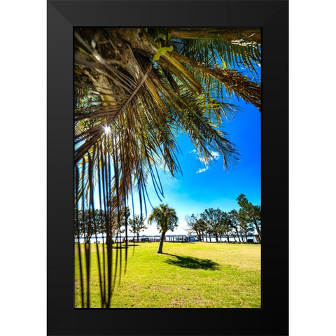 Palm Park Black Modern Wood Framed Art Print by Malone, Will