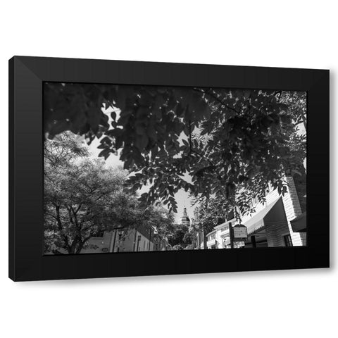 Maryland Capital Black Modern Wood Framed Art Print with Double Matting by Malone, Will